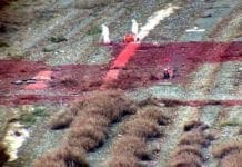 Ponte Morandi, il terreno colorato di blu e rosso e la popolazione è preoccupata