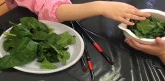 Le storia delle foreste tropicali nel nuovo incontro dell’Associazione Didattica Museale