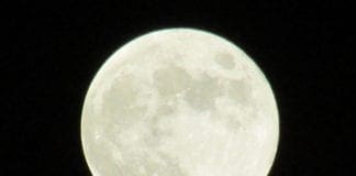 Super Luna all’Osservatorio Astronomico del Righi: eventi speciali e osservazioni al telescopio