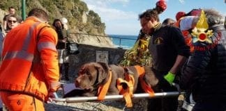 Portofino – Cane cade dalla scogliera, arrivano i vigili del fuoco