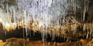 Grotte di Borgio Verezzi: visita guidata gratuita nel complesso di cavità