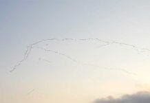Spettacolo dei cieli del Beigua, migliai di gru in migrazione