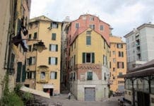 Biodiversità e riscoperta del territorio: nel quartiere del Carmine arriva “SeminAgenova”