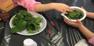 Orto Botanico di Genova, visite guidate e laboratori per bambini dell’Associazione Didattica Museale