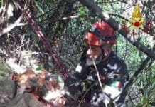 Follo – Vigili del fuoco salvano un cane caduto in un dirupo