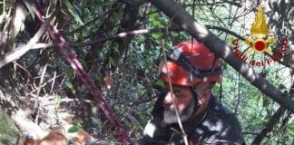 Torriglia – Vigili del Fuoco salvano cane caduto da un muraglione