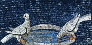 Campomorone, i segreti del mosaico romano al Museo di Paleontologia