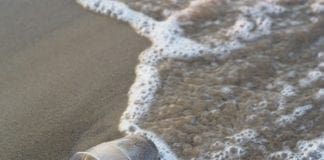 Un mare di plastica, al Gabbiano un incontro con i biologi marini