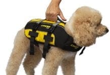 Cressi Sub lancia mute e salvagenti per cani