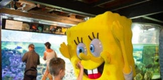 1 maggio all’Acquario di Genova tra meduse e laboratori con Spongebob