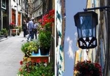 Centro Storico, dal 2 al 4 maggio torna “Via Luccoli in fiore”