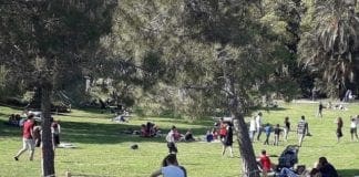 Nervi, minaccia con il coltello padrone con cane senza guinzaglio dentro il Parco