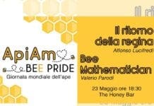 Giornata mondiale dell’Ape – Un doppio incontro tra matematica e biodiversità