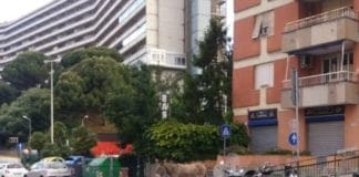 Recuperato e restituito al legittimo proprietario l’asino che passeggiava a San Martino d’Albaro