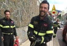 Caccia al serpente in corso Italia, ma è una biscia non pericolosa – VIDEO