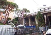 Nervi – Tagliati pini marittimi per far posto alla Coop, le proteste dei residenti