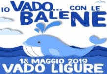 Vado Ligure per la salvaguardia del Santuario dei Cetacei: laboratori didattici ed incontri nel pomeriggio