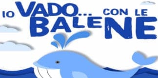 Vado Ligure per la salvaguardia del Santuario dei Cetacei: laboratori didattici ed incontri nel pomeriggio