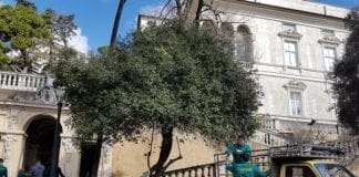 Villa Imperiale – Tornano gli studenti del Marsano per riordinare il Parco