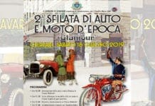 Liguria – Cucciolo di cinghiale adottato da ex cacciatore: “Più affettuoso di un cane”