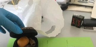 Loano, fuma marijuana mentre guida lo scooter: denunciato 18enne