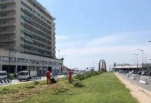 Due milioni e mezzo di Euro per le aiuole in viale Brigata Bisagno, via ai lavori tra le polemiche
