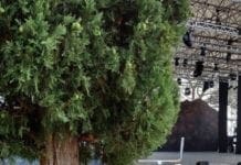 Festival di Nervi – Posti a sedere dietro gli alberi e troppo laterali per vedere lo spettacolo