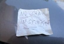 Cogoleto – Auto rigate a chi porta i cani in spiaggia