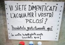 Certosa – Bottigliette per la pipì dei cani? Ci pensa il negozio per animali