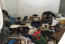 Palazzina Q8, blitz di Polizia Locale e Amiu: all’interno animali morti e sporcizia