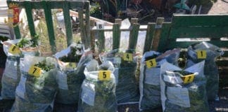 San Fruttuoso, coltivano verdure e marijuana: arrestati zio e nipote