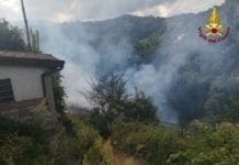 La Spezia, fiamme nel bosco: intervento dei Vigili del Fuoco – FOTO
