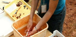 Levanto, ritorna il festival di archeologia e storia “Archeolevante”