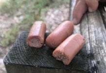 Genova, bocconcini con chiodi a Oregina, gravi due cagnoline