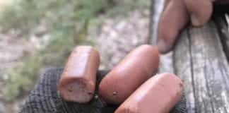 Bocconi avvelenati, Liguria prima in Italia, una task force per individuare i colpevoli e multare chi sporca