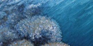 Museo Doria, il tema del mare nella nuova mostra “Sesto Continente” di Giovanni Boffa