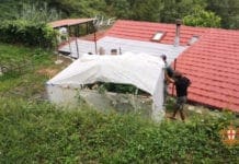 Coltiva canapa nell’entroterra di Genova: scoperto e denunciato