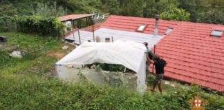 Coltiva canapa nell’entroterra di Genova: scoperto e denunciato