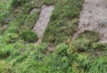 Cornigliano – Il giardino lineare appena inaugurato e già danneggiato