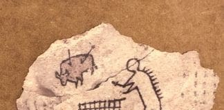 Bansky a Palazzo Ducale di Genova – VIDEO Bansky