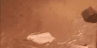 Maltempo a Genova – Allagamenti, frane e strade chiuse nella notte rio fegino esondato