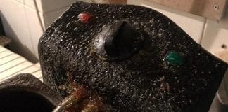 Sporcizia e degrado, chiuso un bar di Sestri Ponente