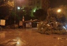 Castelletto – Albero abbattuto dal maltempo in piazza Goffredo Villa albero crollato Castelletto