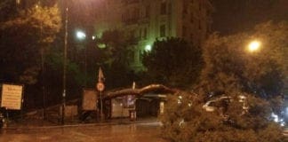 Castelletto – Albero abbattuto dal maltempo in piazza Goffredo Villa albero crollato Castelletto