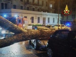 albero caduto La Spezia