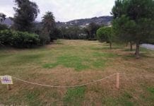 Parchi di Nervi – Prati ingialliti, Terrile (PD): per il Comune stanno riposando parchi nervi prati ingialliti