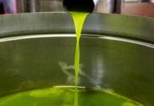 Olio contraffatto, Coldiretti: falsa una bottiglia su 4 olio extravergine oliva