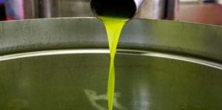 Imperia, al via oggi la 23esima edizione di Olioliva olio extravergine oliva