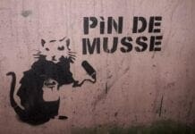 Banksy parla genovese? Raffica di avvistamenti di opere nei vicoli bansky vicoli genova