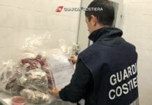 Guardia Costiera di Savona sequestra 413 chili di pesce nel Basso Piemonte guardia costiera controlli pesce